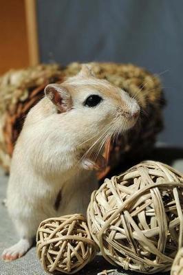 Book cover for Cute Gerbil Pet Journal