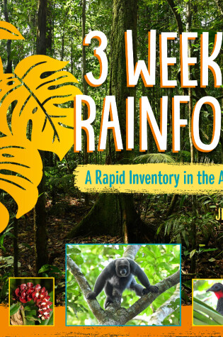 Cover of 3 Weeks in the Rainforest