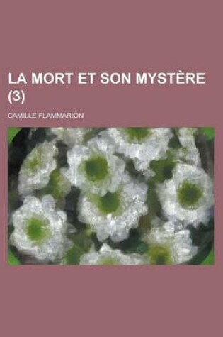 Cover of La Mort Et Son Mystere (3)