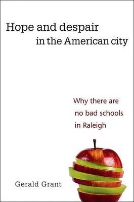 Book cover for Hope and Despair in the American City