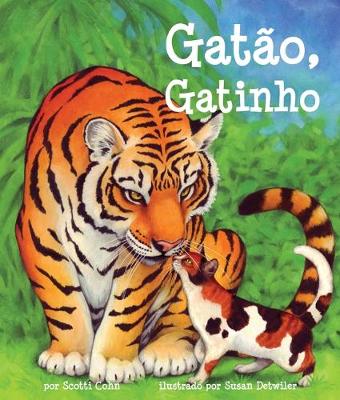 Book cover for Por-Gatao Gatinho (Big Cat Lit