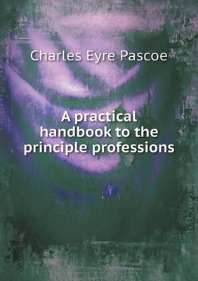Book cover for A Practical Handbook to the Principle Professions