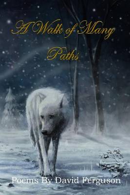 Book cover for A Walk of Many Paths