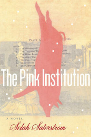 Cover of The Pink Institution