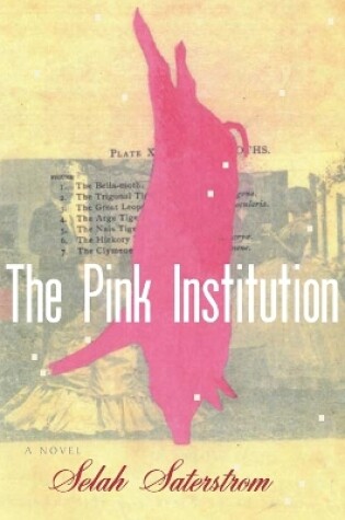 Cover of The Pink Institution