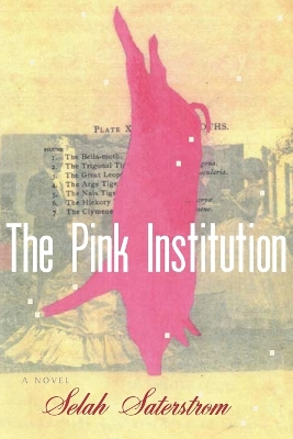 Book cover for The Pink Institution