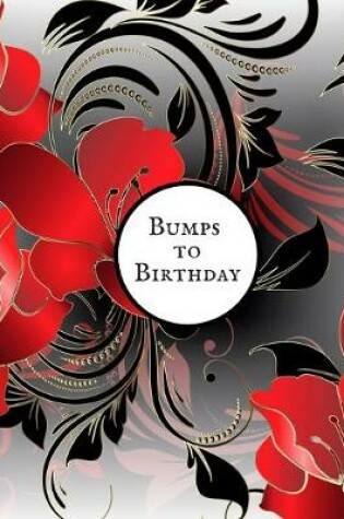 Cover of Bumps to Birthday
