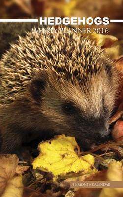 Book cover for Hedgehogs Weekly Planner 2016