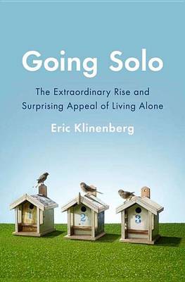 Book cover for Going Solo