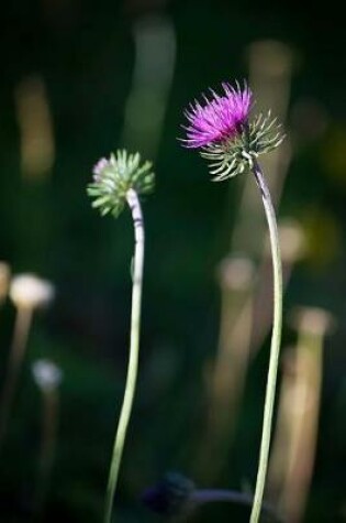 Cover of A Blooming Purple Thistle Plant Journal