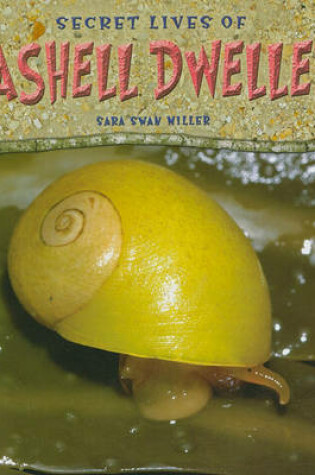 Cover of Secret Lives of Seashell Dwellers