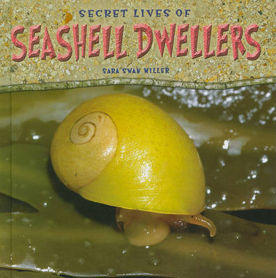 Book cover for Secret Lives of Seashell Dwellers