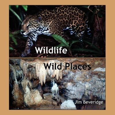 Book cover for Wildlife-Wild Places