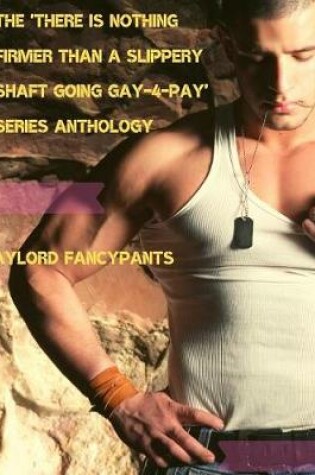 Cover of The 'there Is Nothing Firmer Than a Slippery Shaft Going Gay-4-Pay' Series Anthology