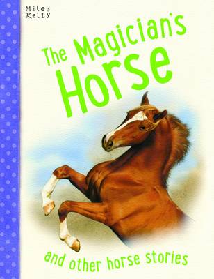 Book cover for Magicians Horse