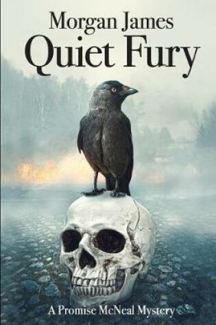 Cover of Quiet Fury