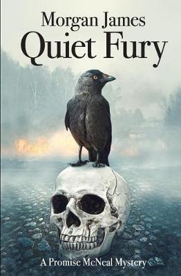 Book cover for Quiet Fury