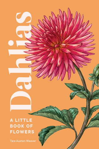 Cover of Dahlias