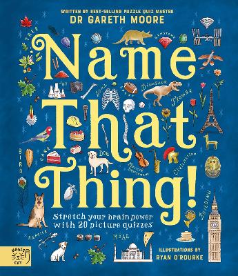 Book cover for Name That Thing