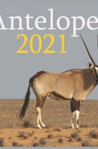 Cover of Antelope