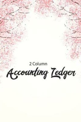 Cover of 2 Column Accounting Ledger