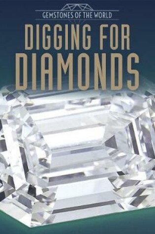 Cover of Digging for Diamonds