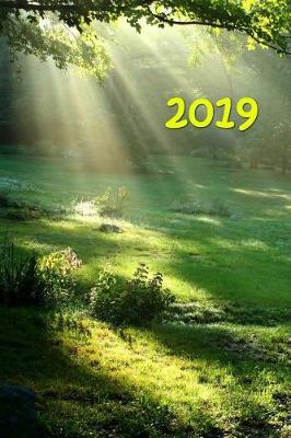 Cover of 2019 Daily Planner Inspirational Religious Heaven's Rays 384 Pages