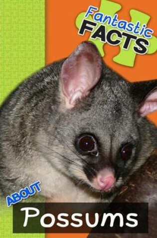 Cover of Fantastic Facts about Possums