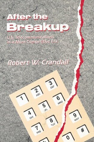 Cover of After the Break-up