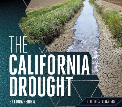 Book cover for The California Drought