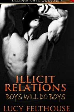 Cover of Illicit Relations