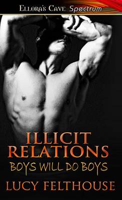 Book cover for Illicit Relations