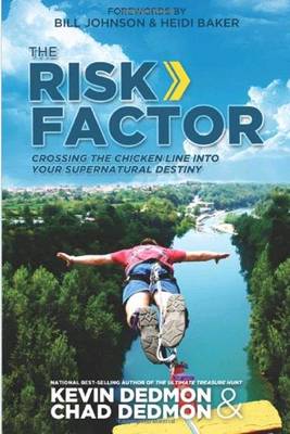 Book cover for Risk Factor