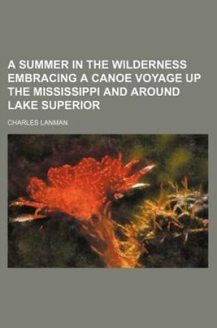 Cover of A Summer in the Wilderness Embracing a Canoe Voyage Up the Mississippi and Around Lake Superior