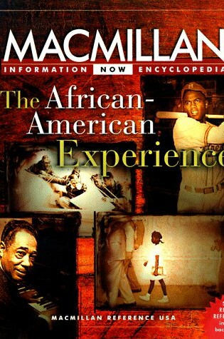 Cover of The African-American Experience