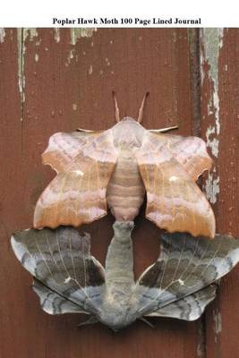 Book cover for Poplar Hawk Moth 100 Page Lined Journal