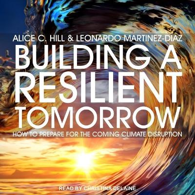 Book cover for Building a Resilient Tomorrow