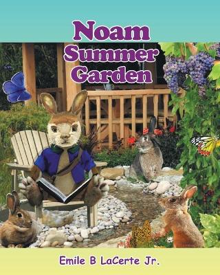 Book cover for Noam Summer Garden