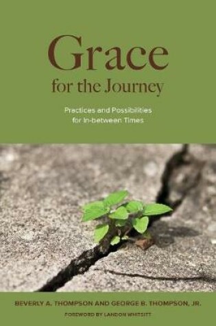 Cover of Grace for the Journey