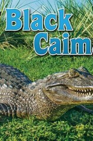 Cover of Black Caiman
