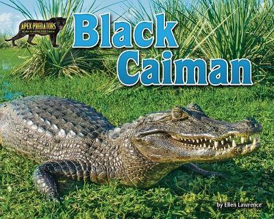 Book cover for Black Caiman