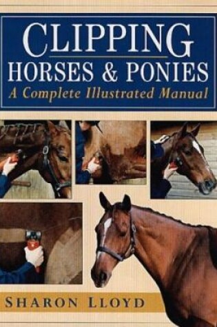 Cover of Clipping Horses and Ponies