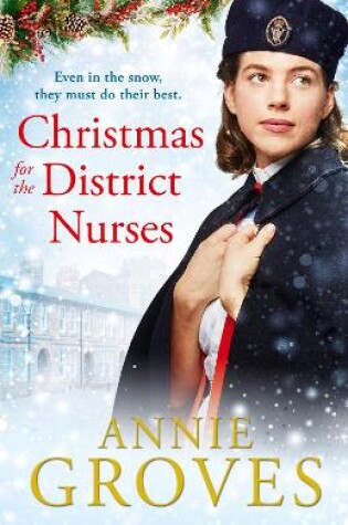 Cover of Christmas for the District Nurses