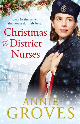 Cover of Christmas for the District Nurses