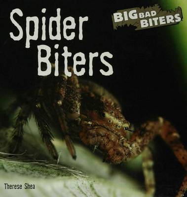Book cover for Spider Biters