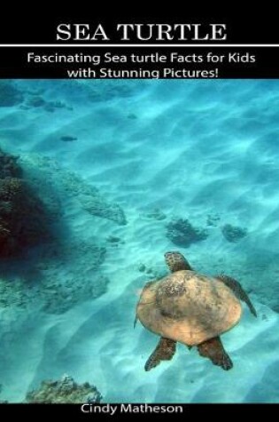 Cover of Sea Turtle