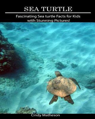 Book cover for Sea Turtle