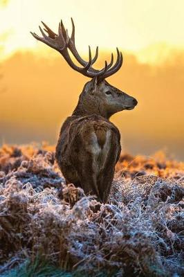 Cover of Stag in the Frost Any Day Planner Notebook