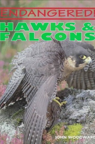 Cover of Hawks and Falcons