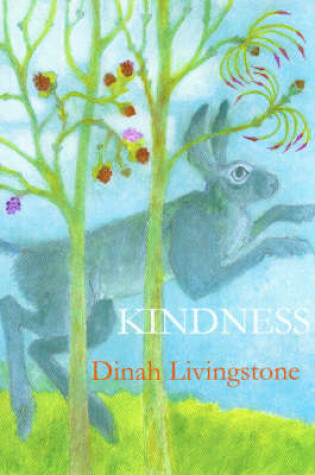 Cover of Kindness